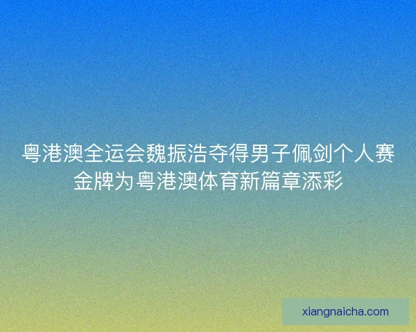 粤港澳全运会魏振浩夺得男子佩剑个人赛金牌为粤港澳体育新篇章添彩