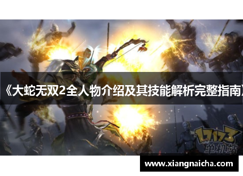 《大蛇无双2全人物介绍及其技能解析完整指南》